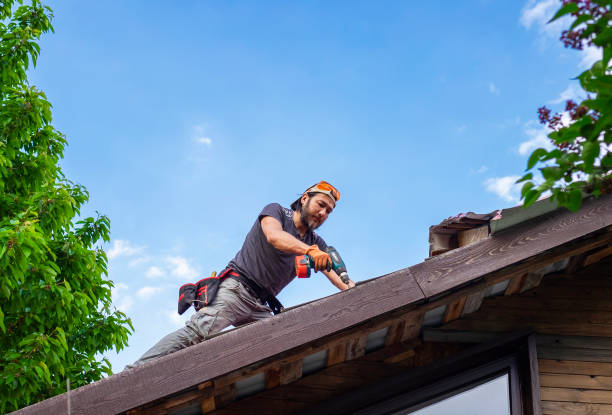 Best Gutter Installation and Repair  in Lambert, MS