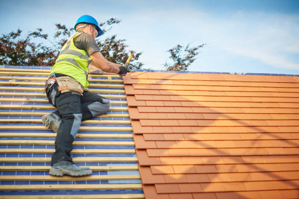 Best Sheet Metal Roofing  in Lambert, MS
